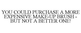 YOU COULD PURCHASE A MORE EXPENSIVE MAKE-UP BRUSH - BUT NOT A BETTER ONE!