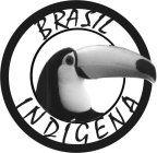 BRASIL INDIGENA