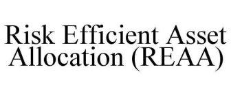 RISK EFFICIENT ASSET ALLOCATION (REAA)