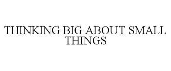 THINKING BIG ABOUT SMALL THINGS