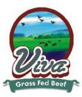 VIVA GRASS FED BEEF