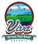 VIVA GRASS FED BEEF ORGANIC