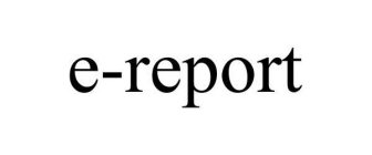 E-REPORT