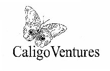 CALIGO VENTURES