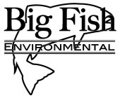 BIG FISH ENVIRONMENTAL