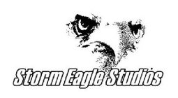 STORM EAGLE STUDIOS