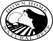 DOWN HOME NATURAL BEEF
