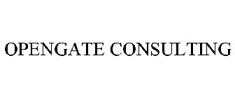 OPENGATE CONSULTING
