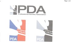 PDA PROFESSIONAL DOMINO ASSOCIATION