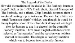 THE LEGEND OF THE DUCKS HOW DID THE TRADITION OF THE DUCKS IN THE PEABODY FOUNTAIN BEGIN? BACK IN THE 1930'S FRANK SHUTT, GENERAL MANAGER OF THE PEABODY, AND A FRIEND, CHIP BARWICK, RETURNED FROM A WE