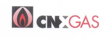 CNX GAS