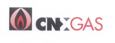 CNX GAS