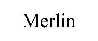 MERLIN