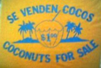 SE VENDEN COCOS $1.00 COCONUTS FOR SALE