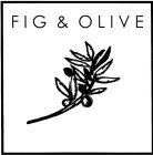 FIG & OLIVE