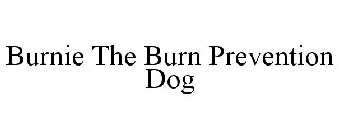 BURNIE THE BURN PREVENTION DOG