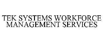 TEK SYSTEMS WORKFORCE MANAGEMENT SERVICES