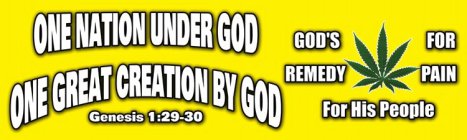ONE NATION UNDER GOD ONE GREAT CREATION BY GOD GENESIS 1:29-30 GOD'S REMEDY FOR PAIN FOR HIS PEOPLE