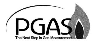 PGAS THE NEXT STEP IN GAS MEASUREMENT