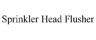 SPRINKLER HEAD FLUSHER