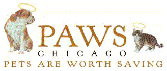 PAWS CHICAGO PETS ARE WORTH SAVING