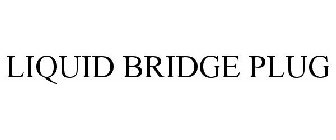 LIQUID BRIDGE PLUG