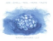 SEE - SMELL - FEEL - HEAR - TASTE BASIC SENSES LLC