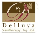 D DELLUVA VINOTHERAPY DAY SPA