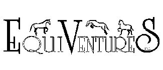 EQUIVENTURES INC