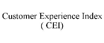 CUSTOMER EXPERIENCE INDEX ( CEI)