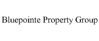 BLUEPOINTE PROPERTY GROUP