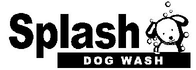 SPLASH DOG WASH