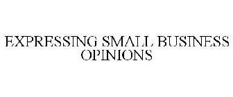 EXPRESSING SMALL BUSINESS OPINIONS