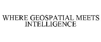 WHERE GEOSPATIAL MEETS INTELLIGENCE