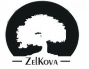 ZELKOVA