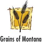 GRAINS OF MONTANA