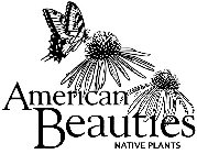 AMERICAN BEAUTIES NATIVE PLANTS