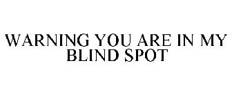 WARNING YOU ARE IN MY BLIND SPOT