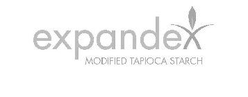 EXPANDEX MODIFIED TAPIOCA STARCH