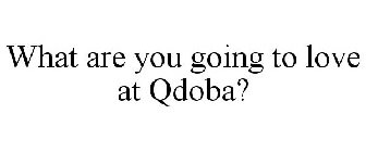 WHAT ARE YOU GOING TO LOVE AT QDOBA?