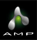 A AMP
