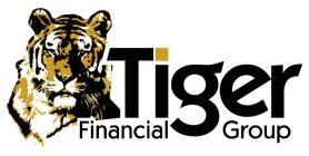 TIGER FINANCIAL GROUP