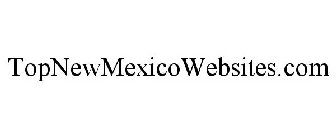 TOPNEWMEXICOWEBSITES.COM