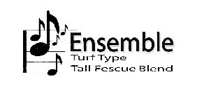 ENSEMBLE TURF TYPE TALL FESCUE BLEND