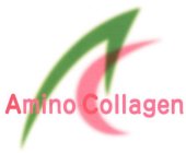 AMINO COLLAGEN