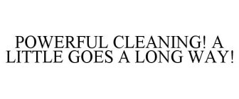 POWERFUL CLEANING! A LITTLE GOES A LONG WAY!