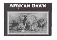 AFRICAN DAWN