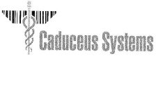 CADUCEUS SYSTEMS