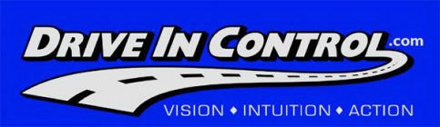 DRIVE IN CONTROL.COM VISION INTUITION ACTION