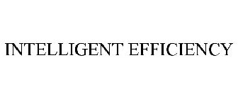 INTELLIGENT EFFICIENCY